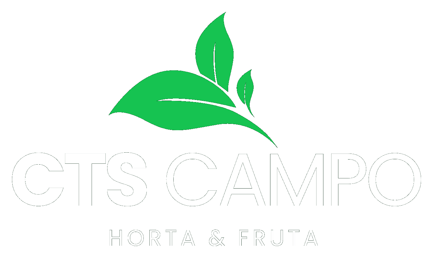 CTS Campo